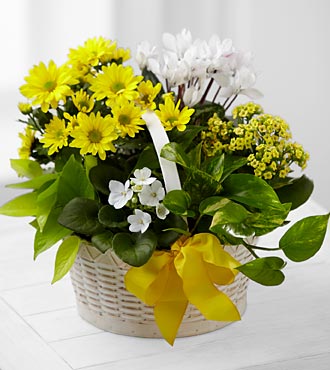 FTD A Bit of Sunshine Basket