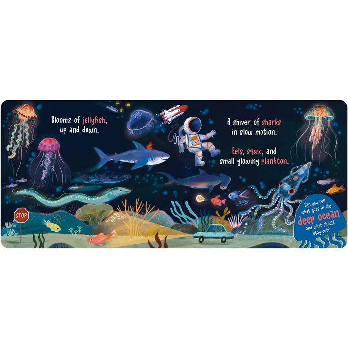 What Goes in the Ocean