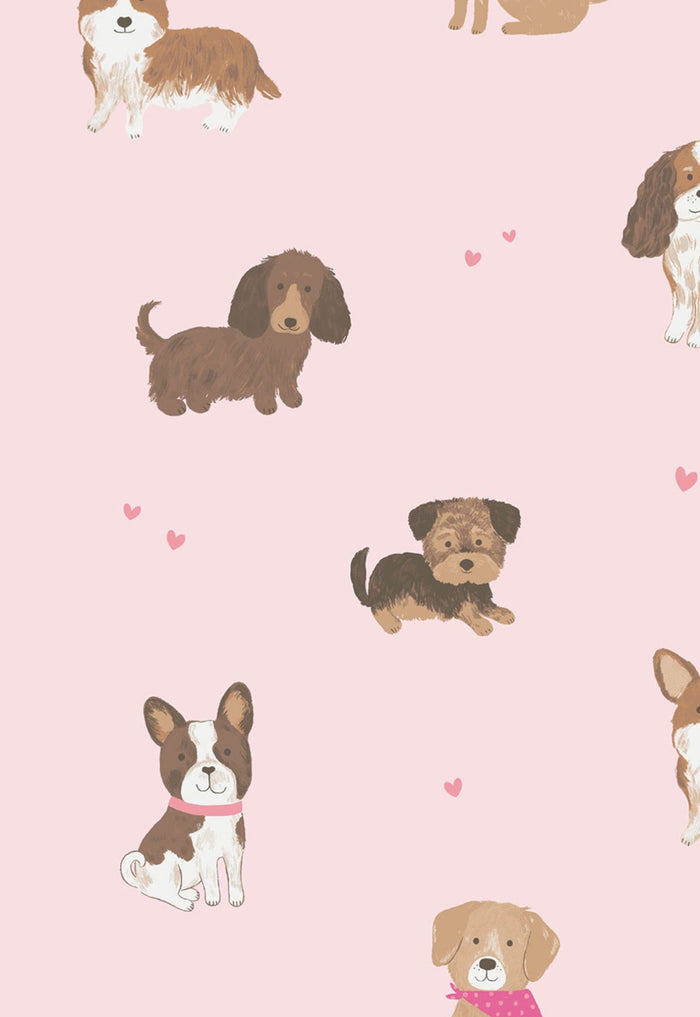 Angel Dear - Bubble - Pink Best Friends