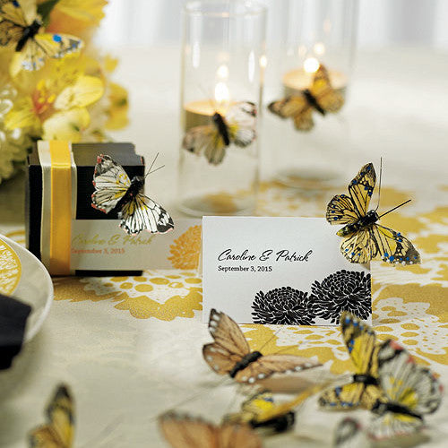 Butterfly Set