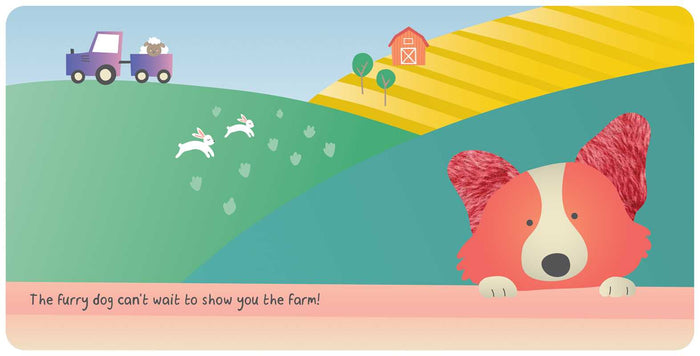 Farm Animals: My First Touch and Feel Book