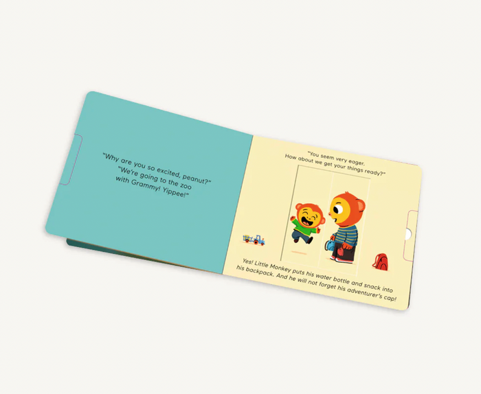 Feelings: A Pull-the-Tab Book