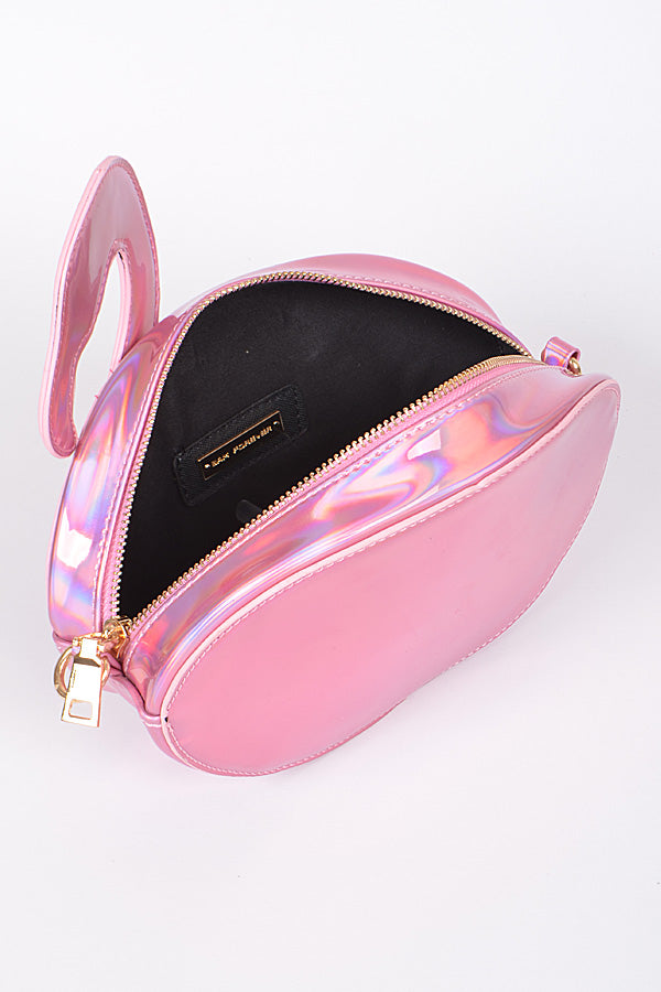 Flamingo Shiny