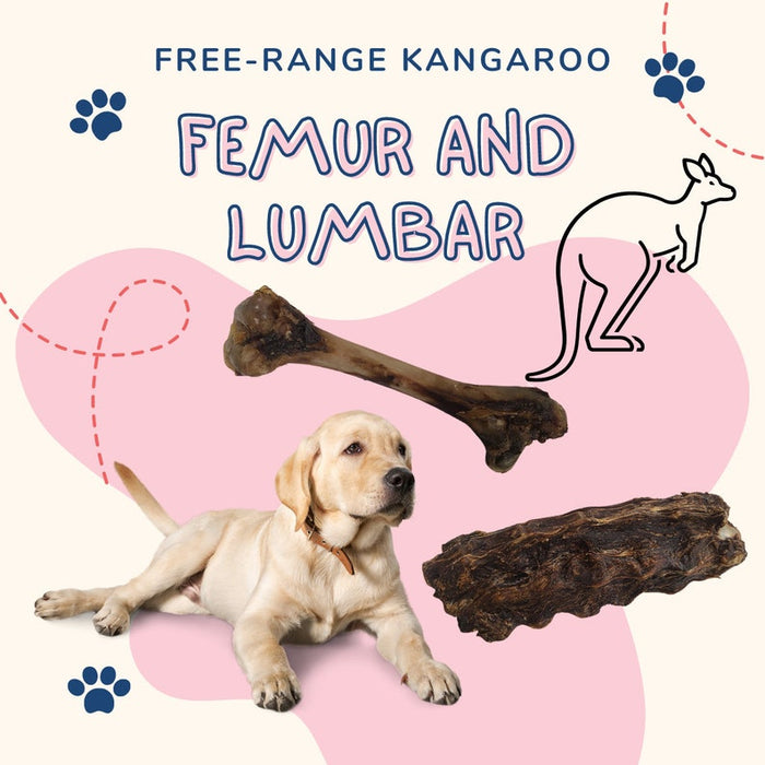 Free-Range Kangaroo Dog Treats – Australian Femur & Lumbar Chews | Single Ingredient, Grain-Free, Low Fat, High Protein