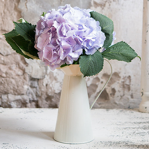 French Provencal Decorative Table Pitcher