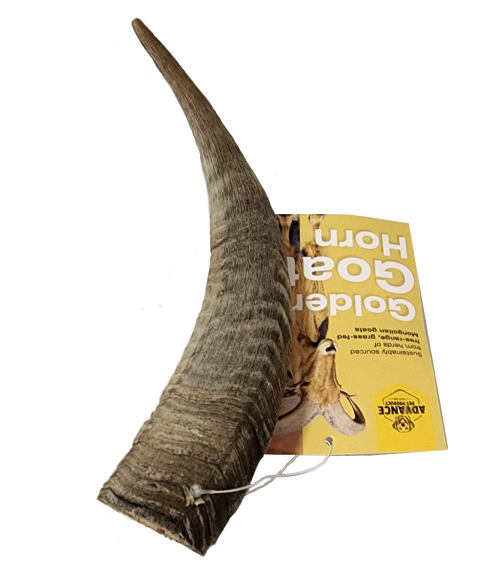 Golden Goat Horn Dog Chew – All-Natural Dental Treat with Marrow | Long-Lasting Chew in Small, Medium, Large
