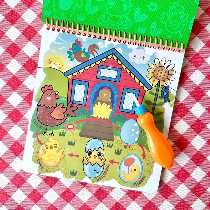 Magic Reveal Pad - Learn & Play Assorted