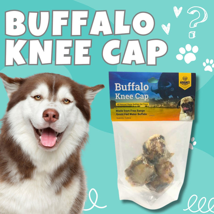 Natural Water Buffalo Kneecap for Dogs - Long Lasting Buffalo Dog Chew, Healthy Natural Dog Treat, Rawhide Free Knee Cap Chew Toy