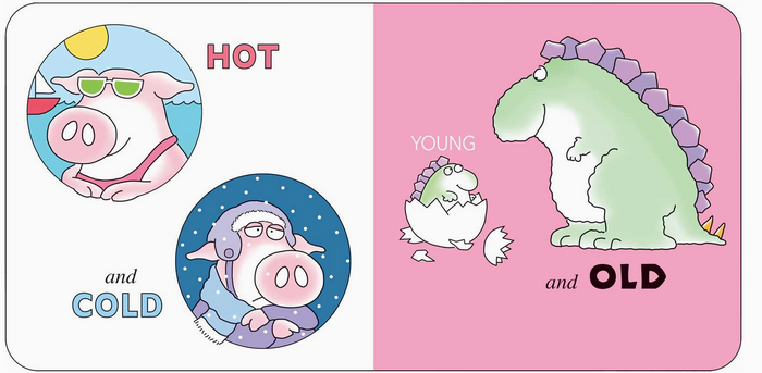 Opposites by Sandra Boynton Board Book