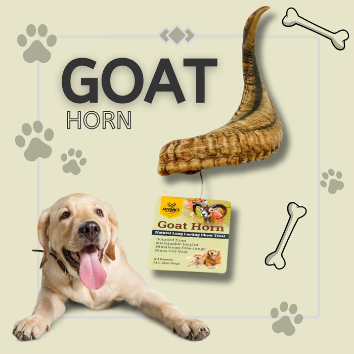 Organic, Odorless, Durable Dog Chews for Aggressive Chewers, All-Natural Treat