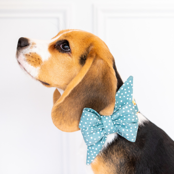 Sage Spots Belle Bow Dog Collar - Crew LaLa