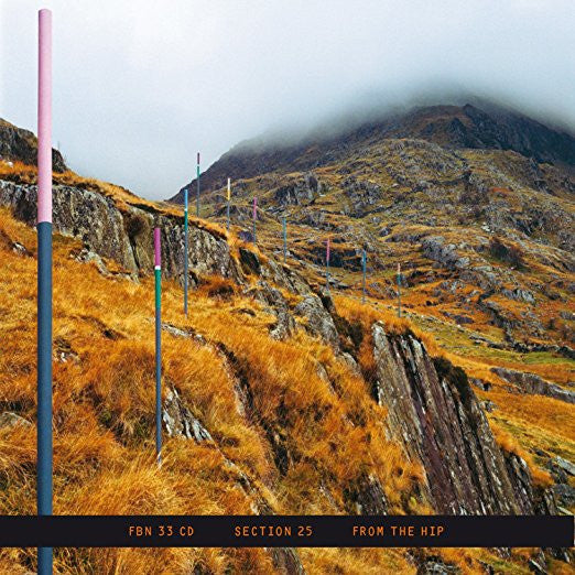 Section 25 - From the Hip