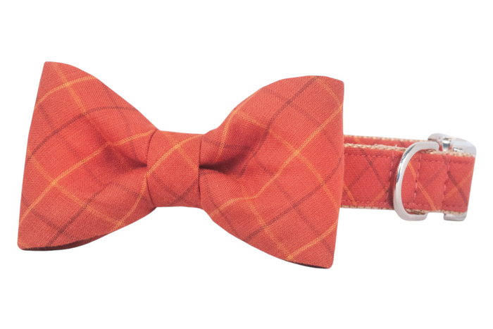 A stylish warm orange bow tie dog collar set with subtle plaid design, soft flannel fabric, and durable metal buckle.