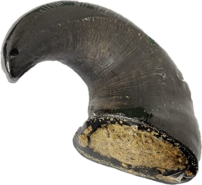 Super Fills Dog Chews – Stuffed Horn, Hoof, Trachea & Goat Horn | Long-Lasting, Natural, High-Protein Treat Variety