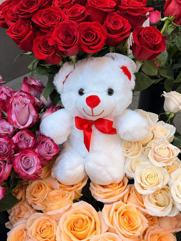 Teddy Bear