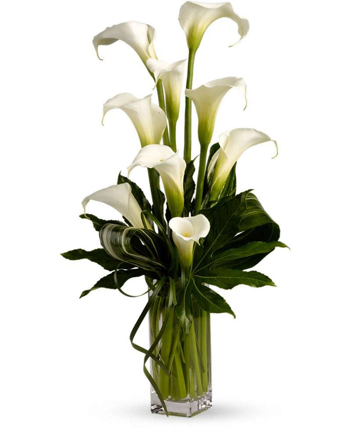 Teleflora My Fair Lady