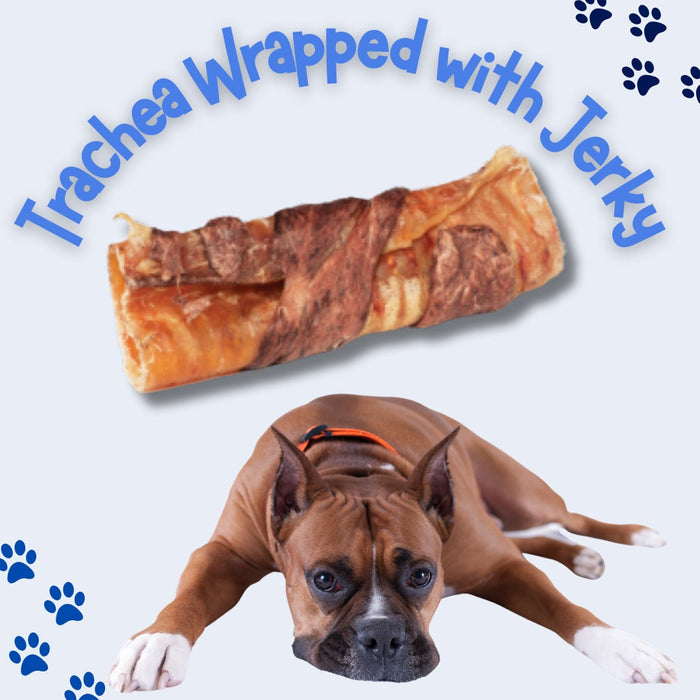 Trachea Wrapped with Jerky!!!