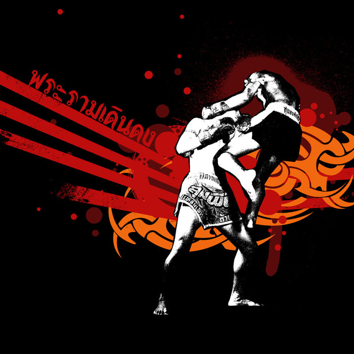 TUFF Muay Thai Classic Cotton T-Shirt (TUF-TC013)