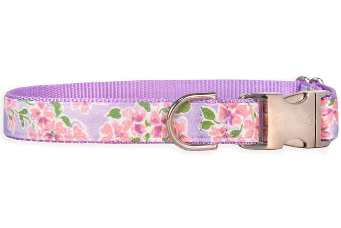 Tuscan Terrace Dog Collar - Crew LaLa