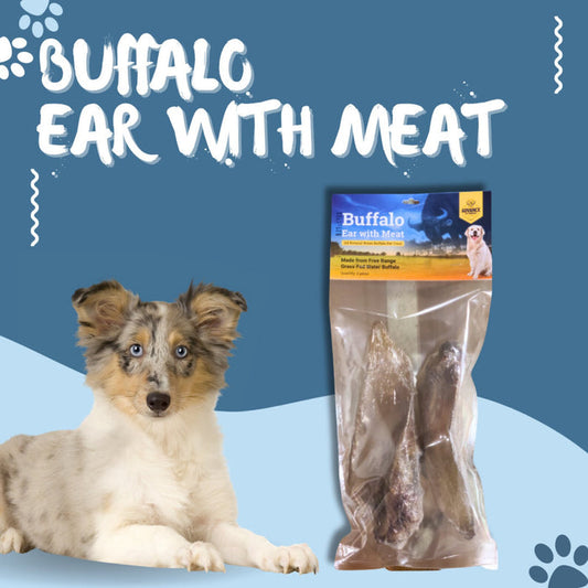 Water Buffalo Ear with Meat – Natural Dog Chew Treat | Long-Lasting High-Protein Buffalo Ear for Dogs | All-Natural Ear Chew for Oral Health