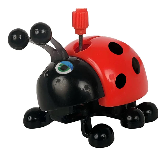 Lori Ladybug